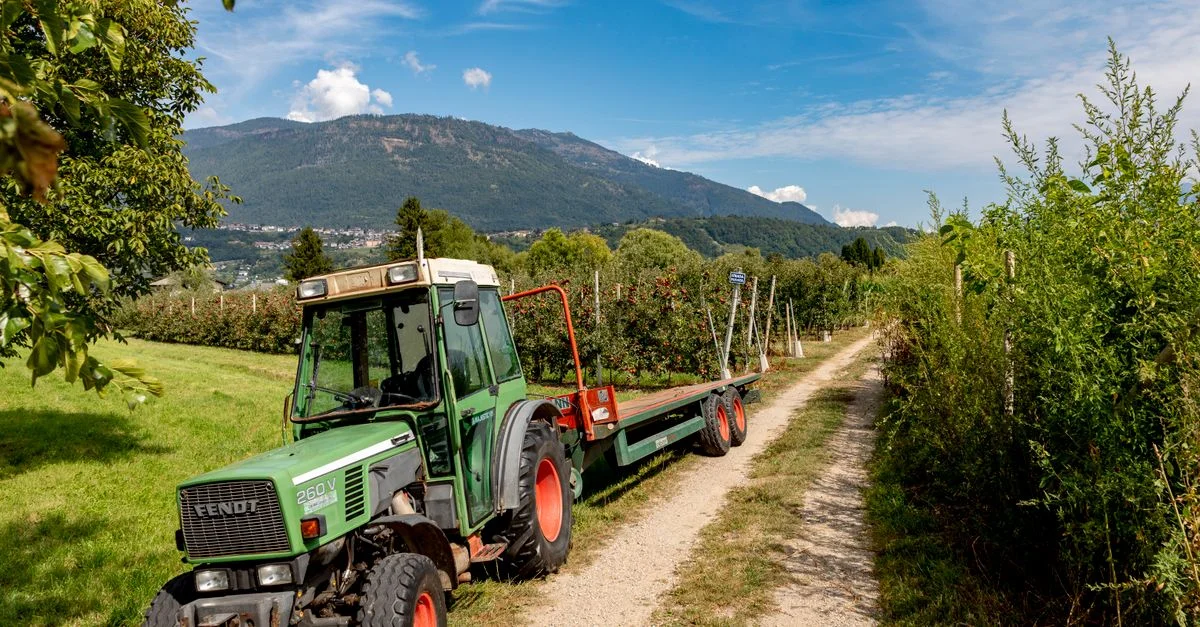 Ein grüner Traktor in einem malerischen Apfelgarten in Caldonazzo, Italien.